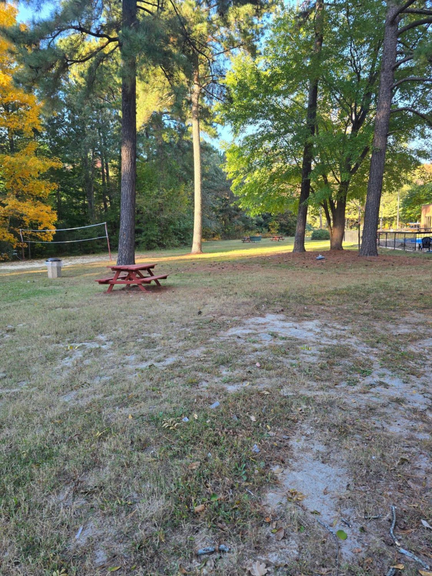 Wyndham Garden Busch Gardens Area 3*
